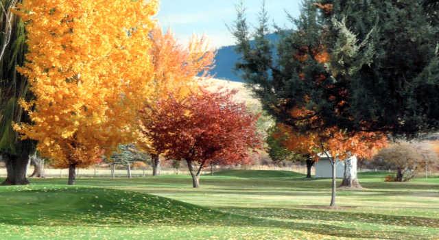 Hamilton Golf Club - photo 3