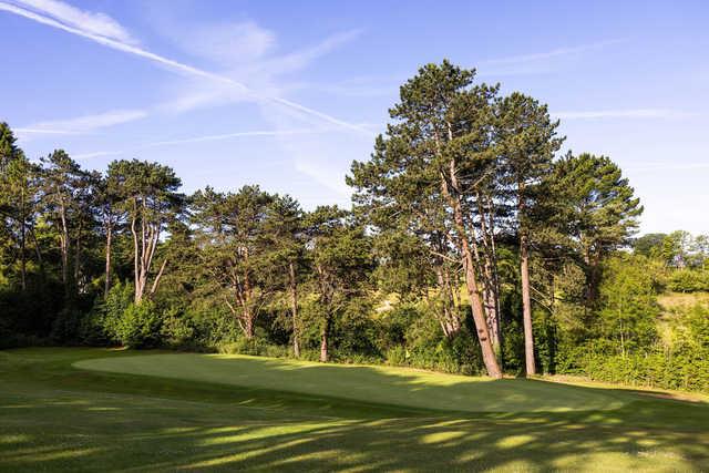 North Downs Golf Club - photo 3