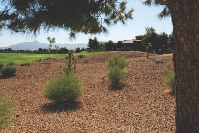 The Legacy Golf Club - photo 3