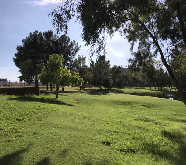 Stripe Show Golf Club - photo 2