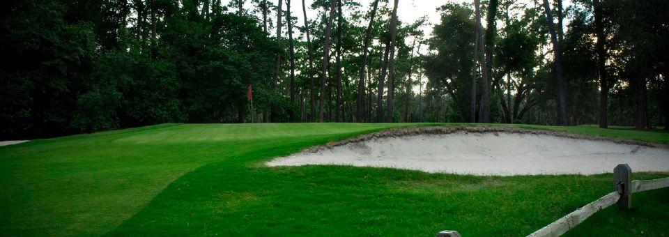 Hyde Park Golf Club - photo 4