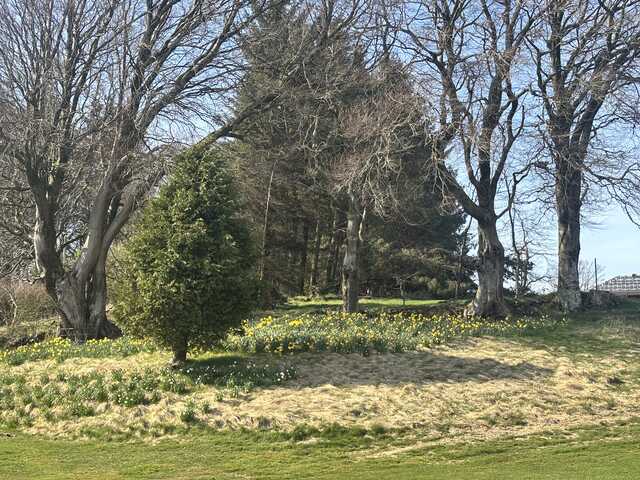 Eastwood Twelve Golf Course - photo 3