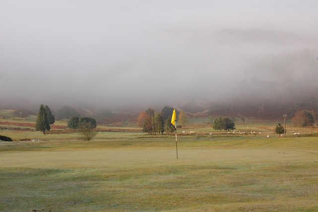 Machynlleth Golf Club - photo 4
