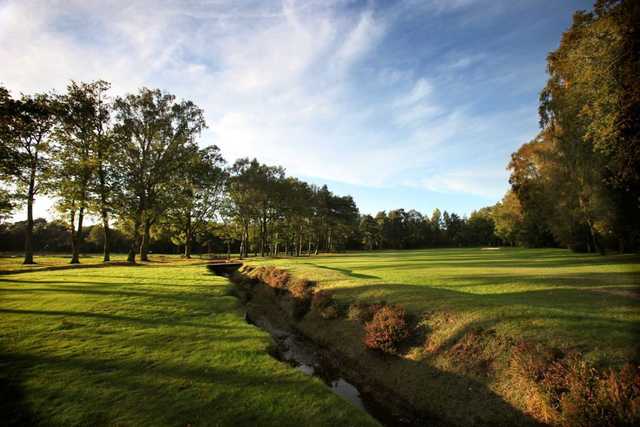 Copthorne Golf Club - photo 4