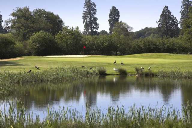 Hartley Wintney Golf Club - photo 5