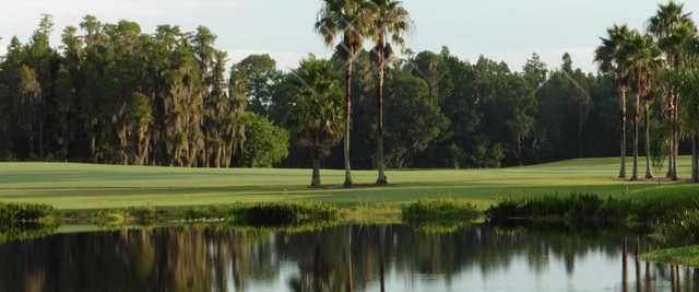 Heritage Springs Country Club - photo 4