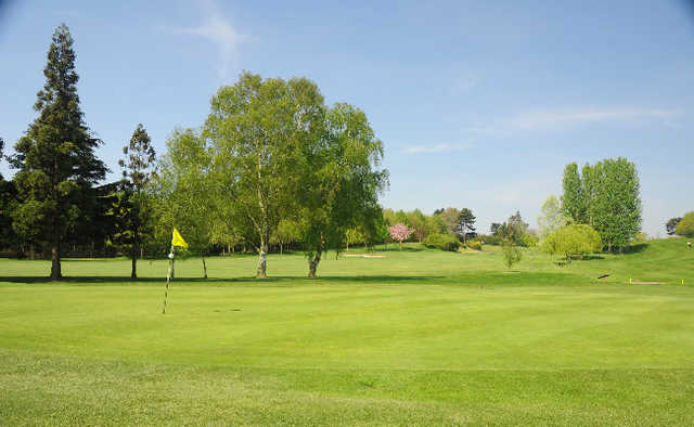Ashford Golf Club - photo 3