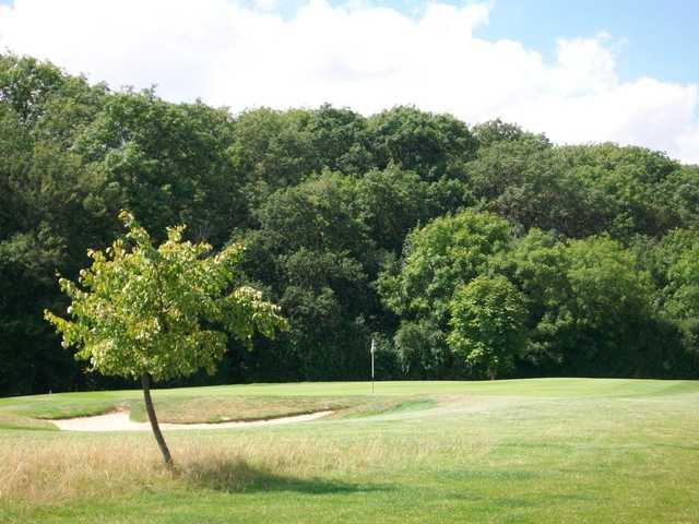 Woolfox Golf - photo 2