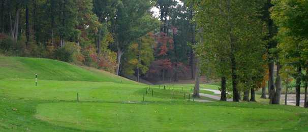 Stonebridge Golf Club - photo 2