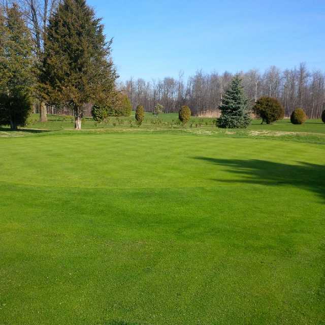 Big Cedar Golf Club