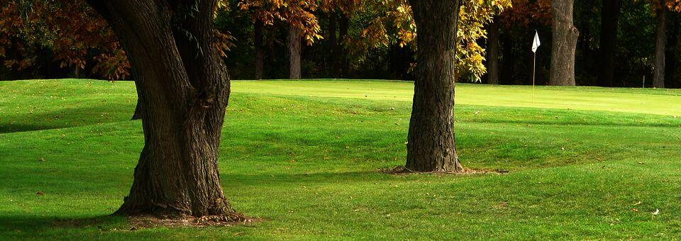 Springvale Golf Course - photo 5