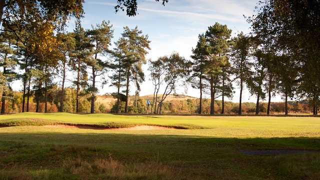 Sherwood Forest Golf Club - photo 5