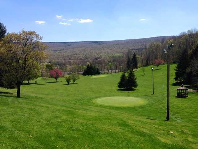 Burgi's Back Nine