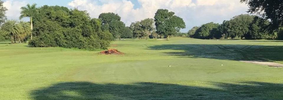 Paradise Golf Course - photo 2