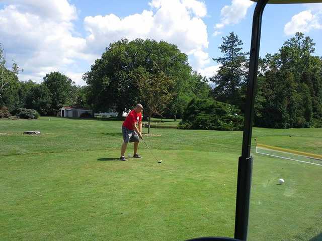 Forest Hills - photo 1