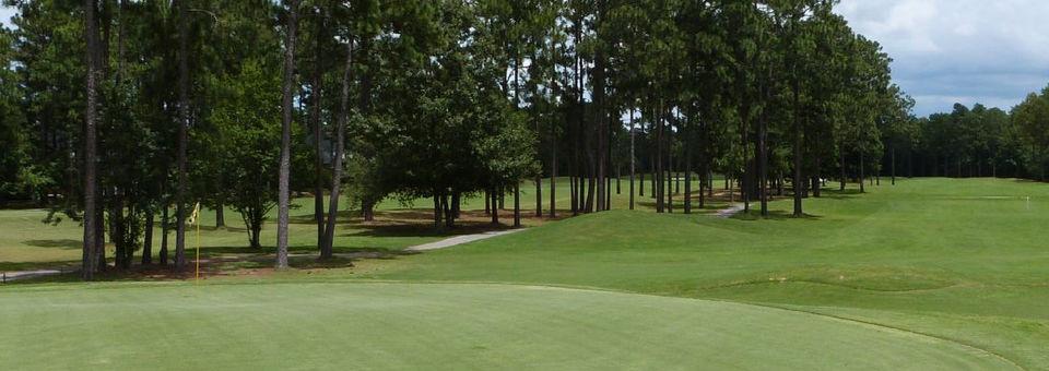 The Club at Pine Forest - photo 3