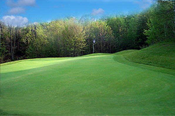 The Heathlands - photo 2