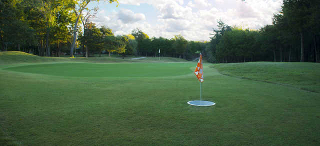 Cobblestone Creek Golf Club - photo 2