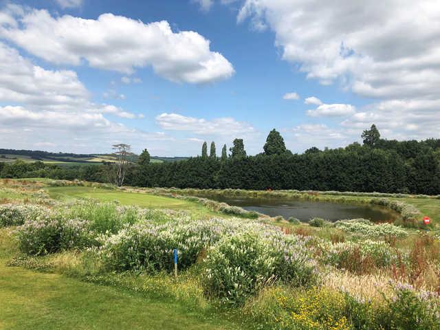 Westerham - Churchill 9 Hole Par 3 - photo 2