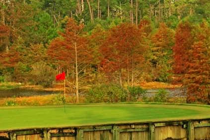 Country Club of Landfall - photo 3