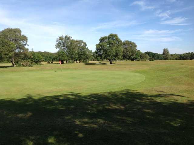 New Forest Golf Club - photo 5