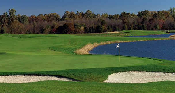 Regency At Dominion Valley Country Club - photo 3