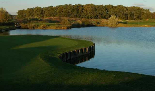 UGOLF Courson Black/Lilac Course - photo 8