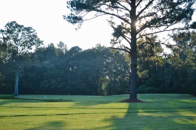 The Pines at North Park - photo 3