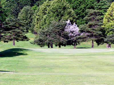 Bald Mountain Golf Course - photo 5