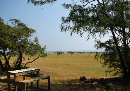 Kahuku - photo 2