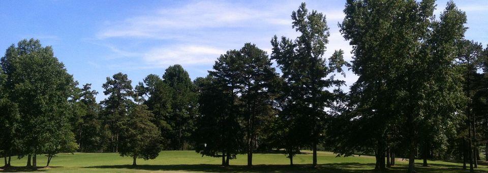 Palmetto Hills Golf Club - photo 4