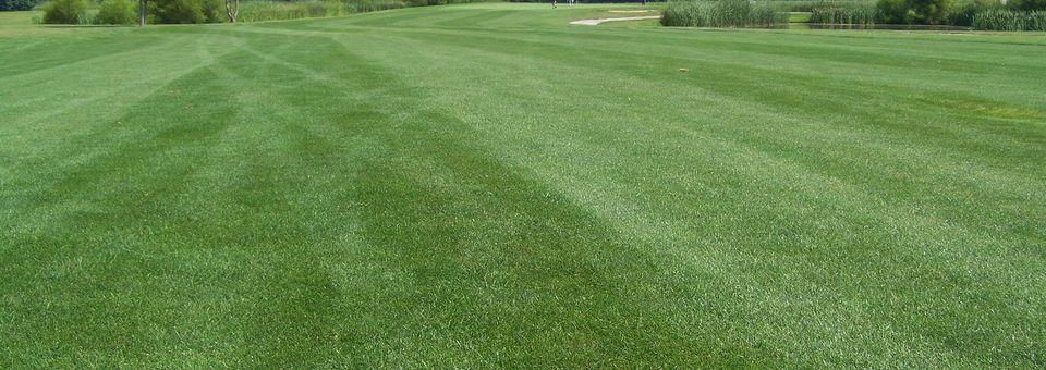 Moweaqua Golf Course - photo 4