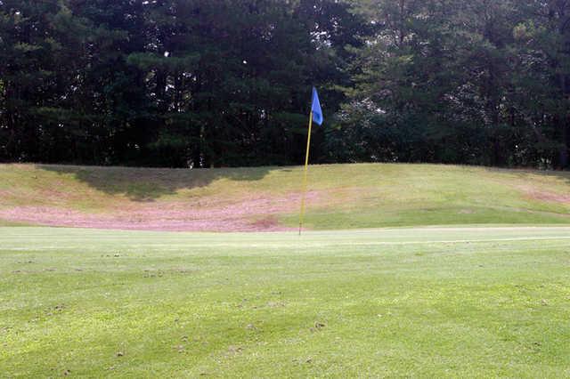 Mountain View Golf Course - photo 3