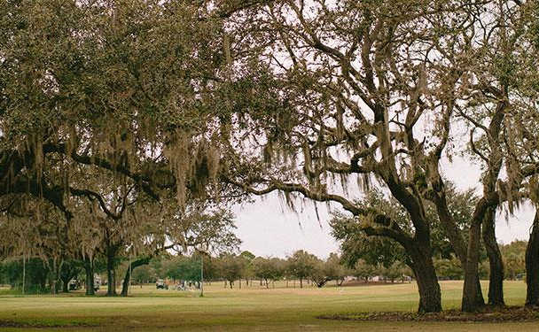 Carrollwood Country Club - photo 3