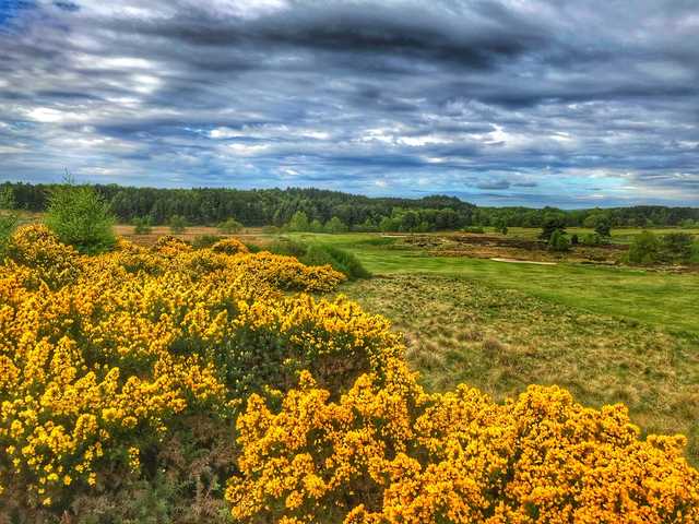 Lanark Golf Club