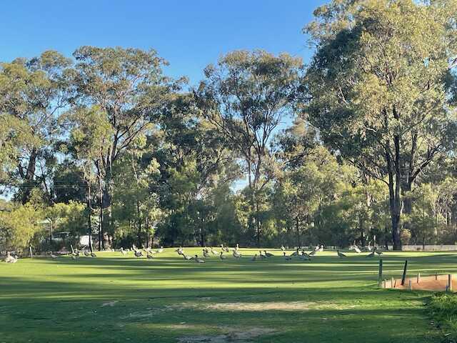 Bendigo Golf Club - photo 4