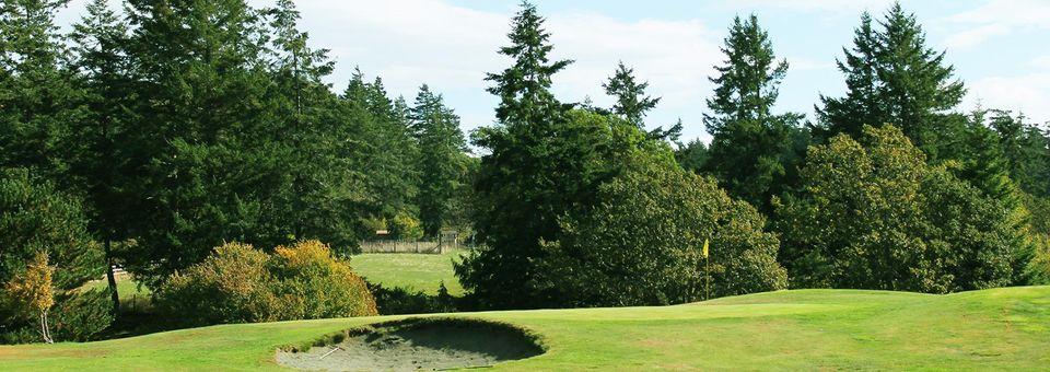 Victoria Golf Centre - photo 4
