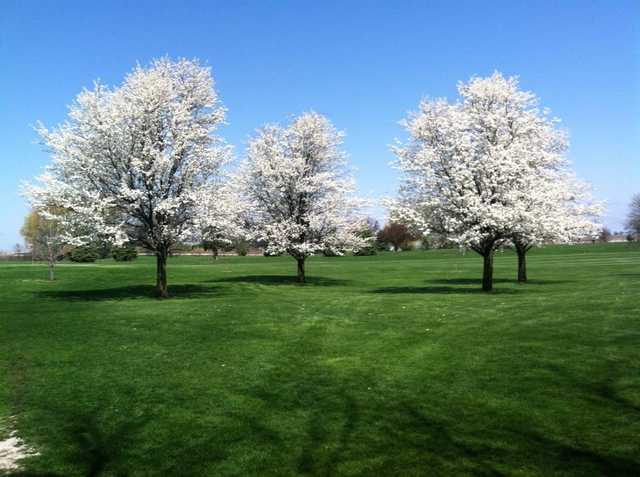 Five By Eighty Country Club - photo 2