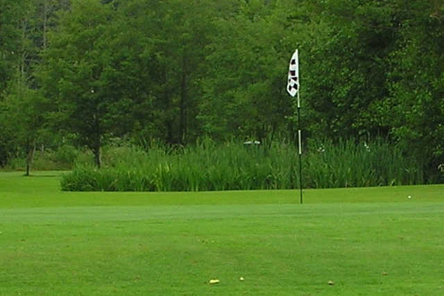 Mount Douglas Golf Course - photo 3