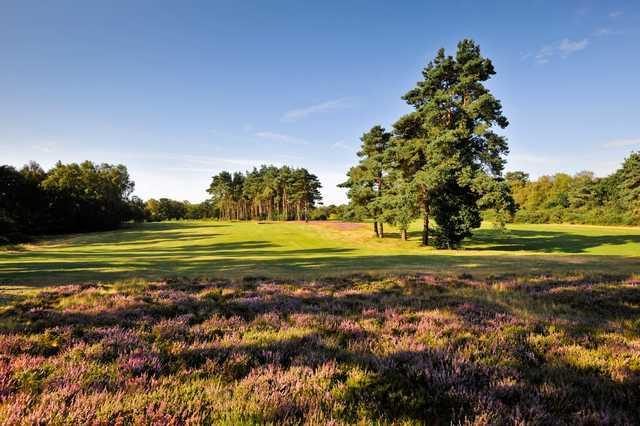 Ipswich Golf Club The Bixley Course - photo 8