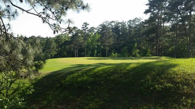 Jackson Links Golf Course - photo 3