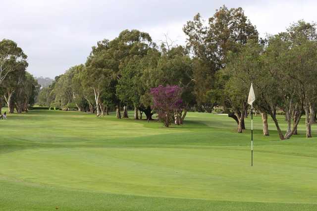 Warringah Golf Club - photo 5
