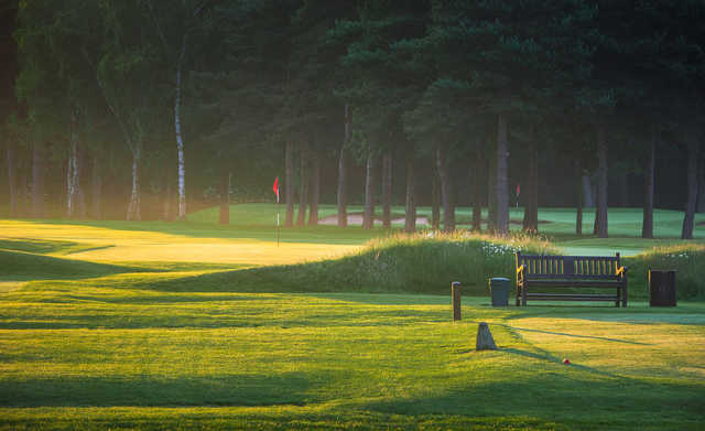 Harrogate Golf Club - photo 3