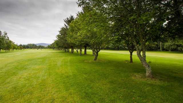 Alford Golf Club - photo 3