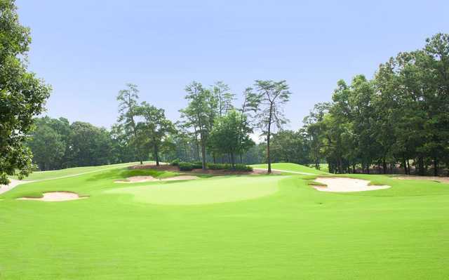 Pine Tree Country Club - photo 3