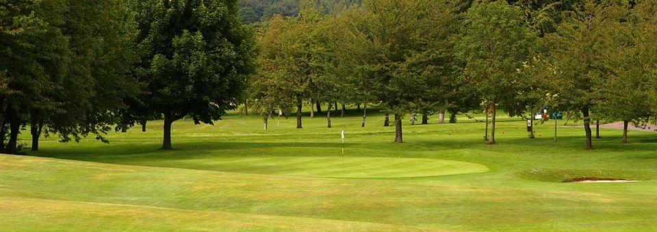Beamish Park Golf Club - photo 5