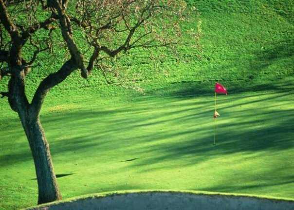 Sunol Valley Golf Courses - photo 3