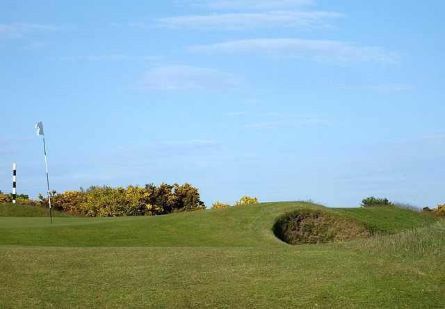 Panmure Golf Club - photo 7