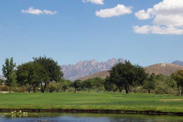 New Mexico State University Golf Course - photo 3