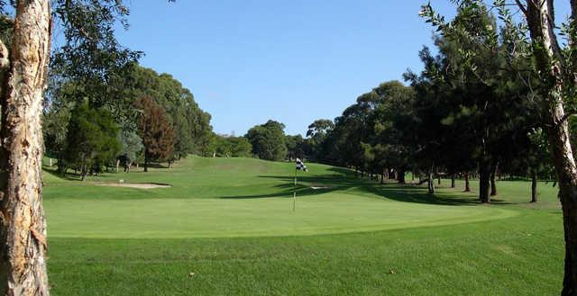 Balgowlah Golf Club - photo 5
